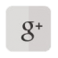 Google plus icon