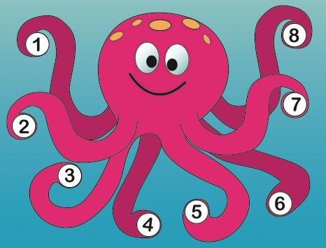 intervaloctupus